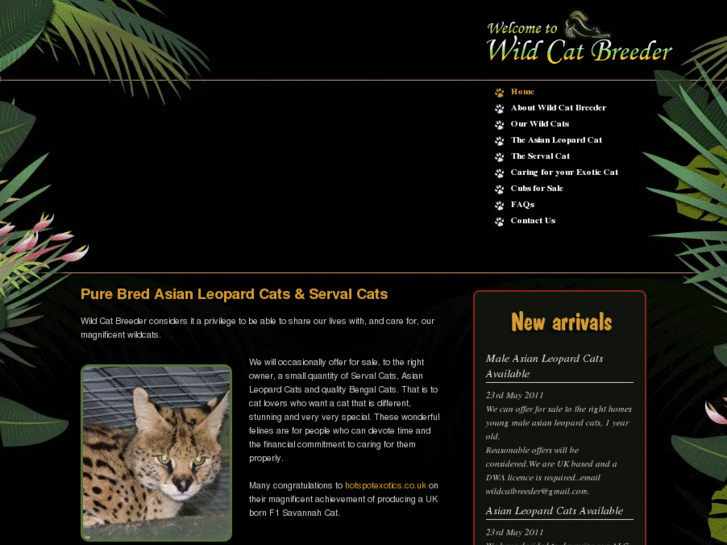 www.wildcatbreeder.com