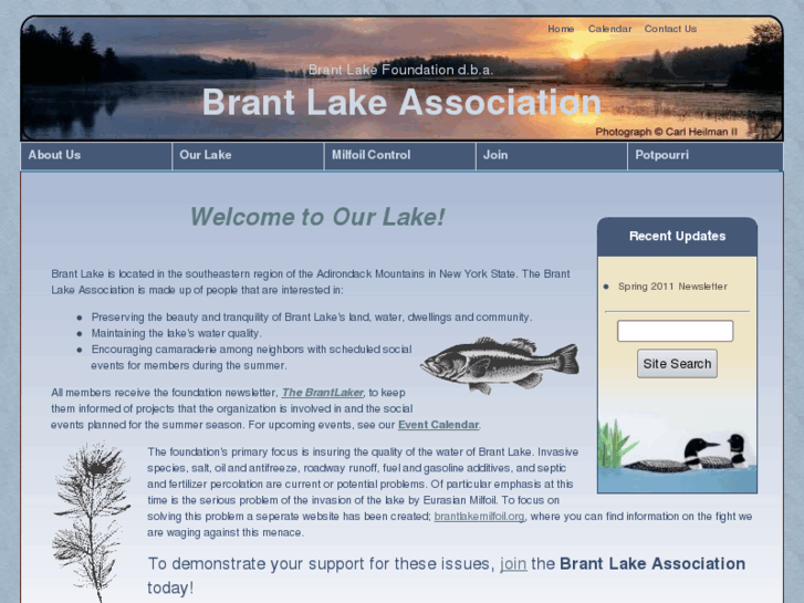 www.brantlakeassociation.org