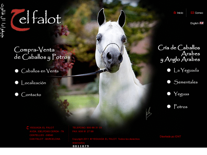 www.elfalot.com