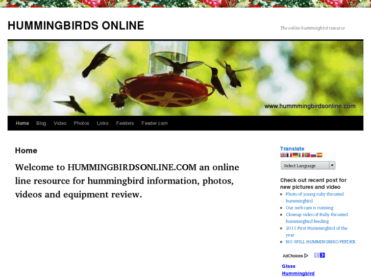 www.hummingbirdsonline.com