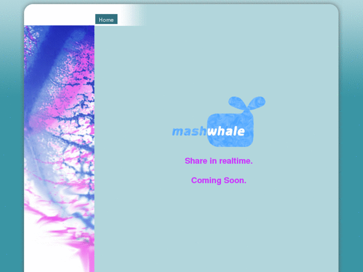 www.mashwhale.com