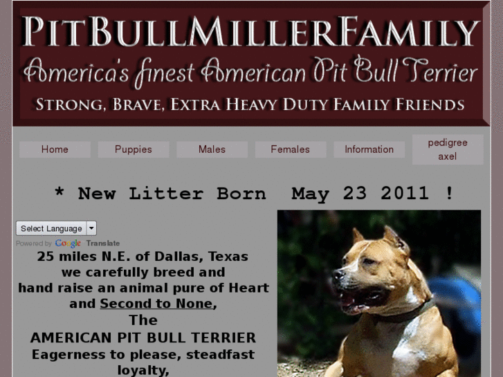 www.pitbullmillerfamily.com