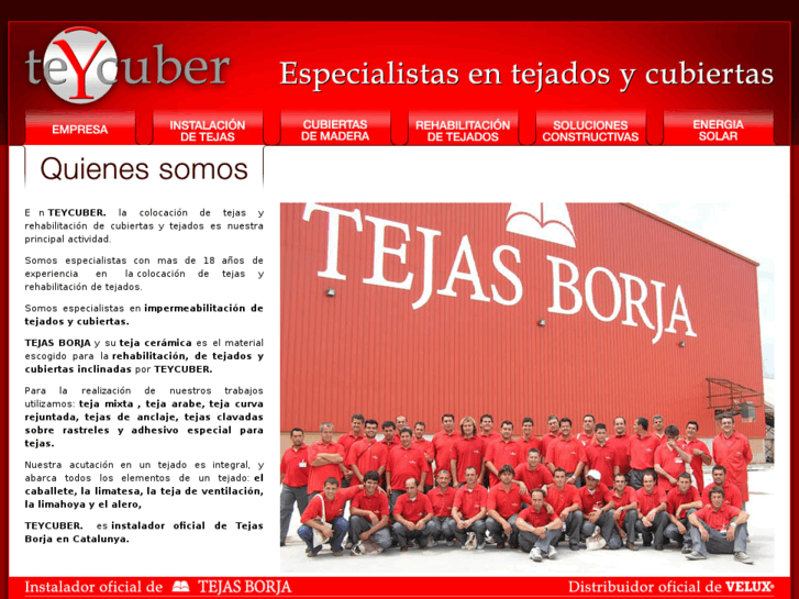 www.tejasytejados.es