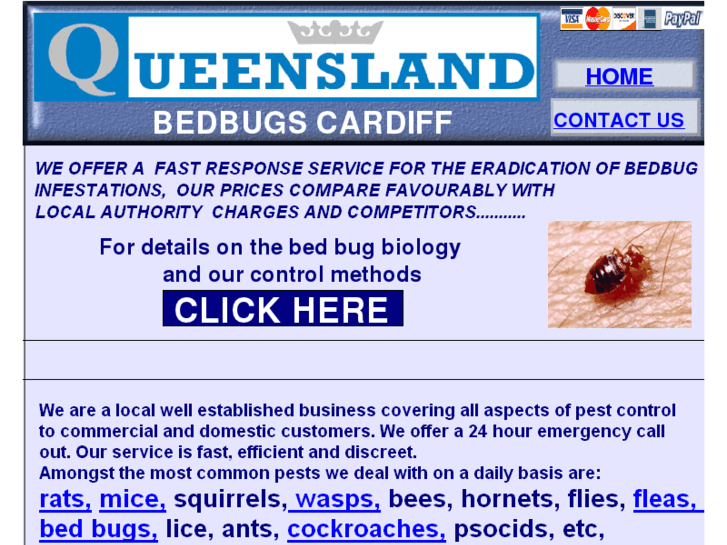 www.bedbugscardiff.co.uk