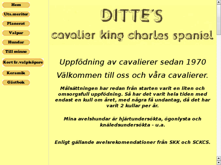 www.dittes-cavalierer.com