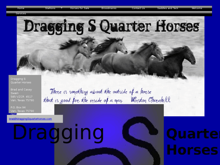 www.draggingsquarterhorses.com