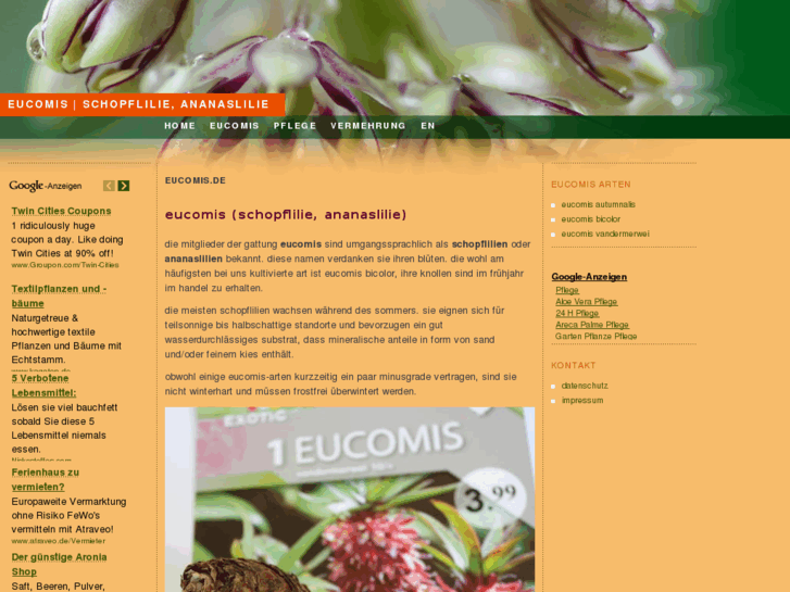 www.eucomis.de