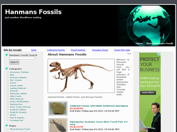 www.hanmansfossils.com