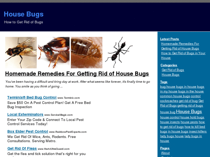 www.housebugs.org