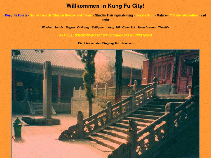 www.kungfucity.com