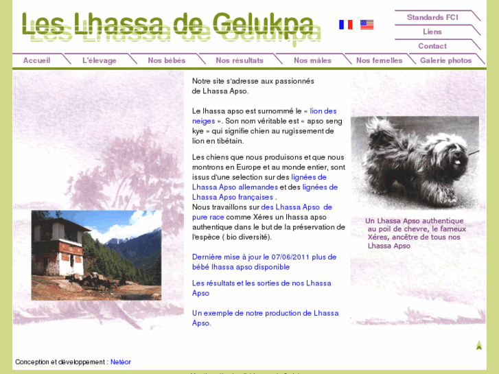 www.lhassa-de-gelukpa.com