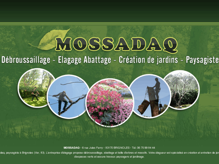 www.mossadaq.net