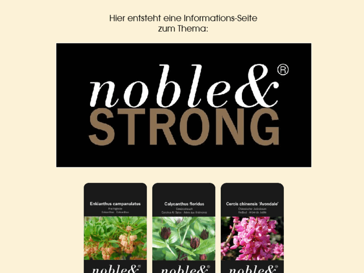 www.nobleandstrong.com