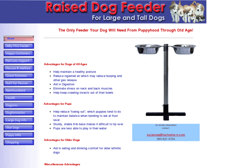 www.raiseddogfeeder.com