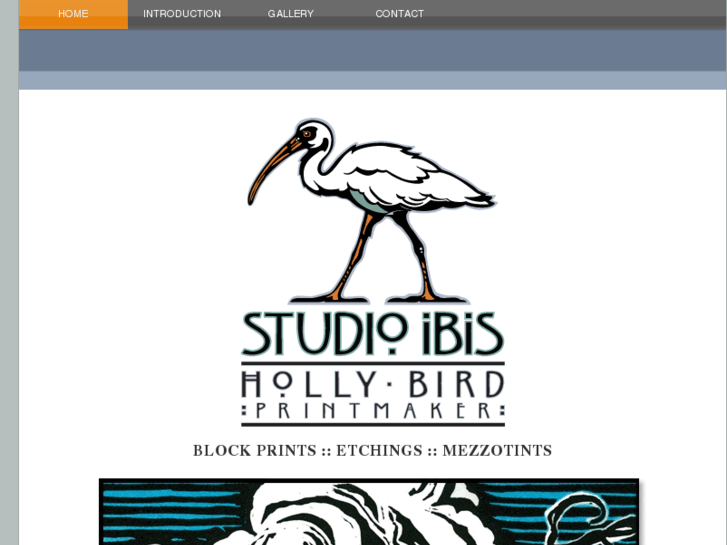 www.studioibis.com