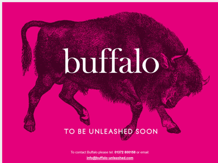 www.buffalo-unleashed.com