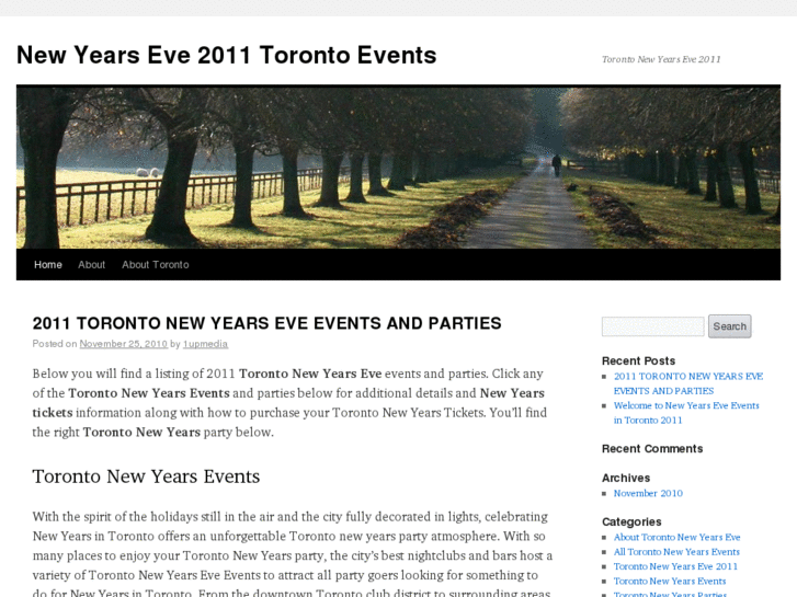 www.newyearsevetorontoevents.com