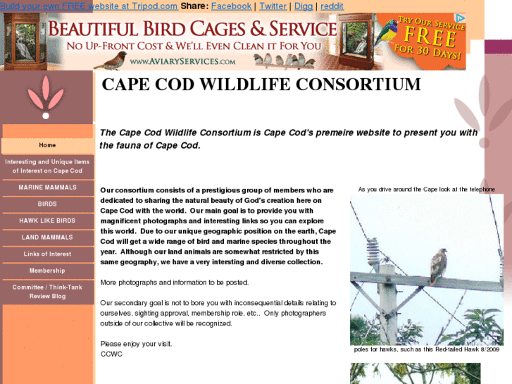 www.capecodbird.org