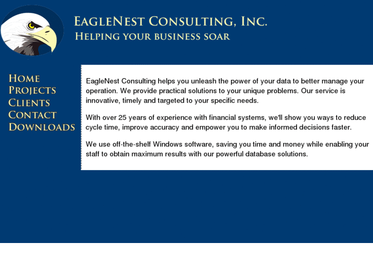 www.eaglenestconsulting.com