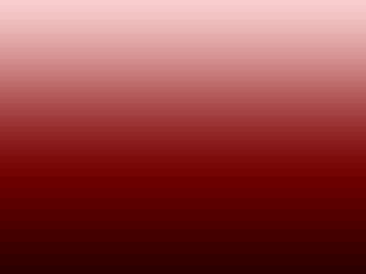 www.groupe-damak.com