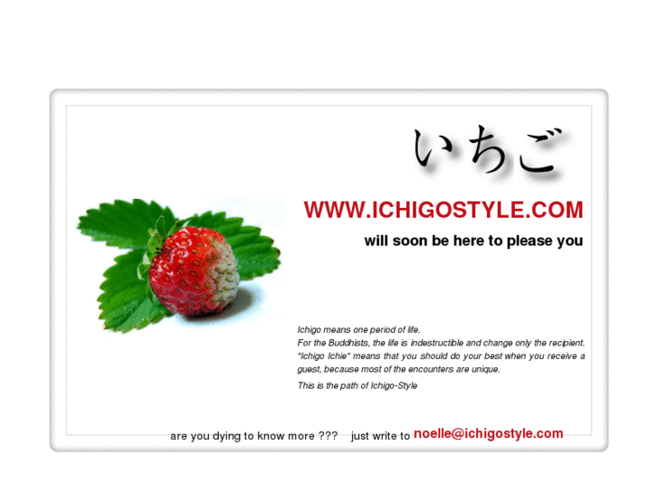 www.ichigo-style.com