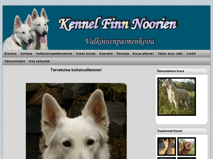 www.kennelfinnnoorien.com