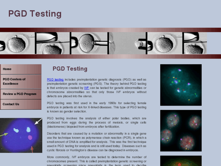 www.pgdtesting.net