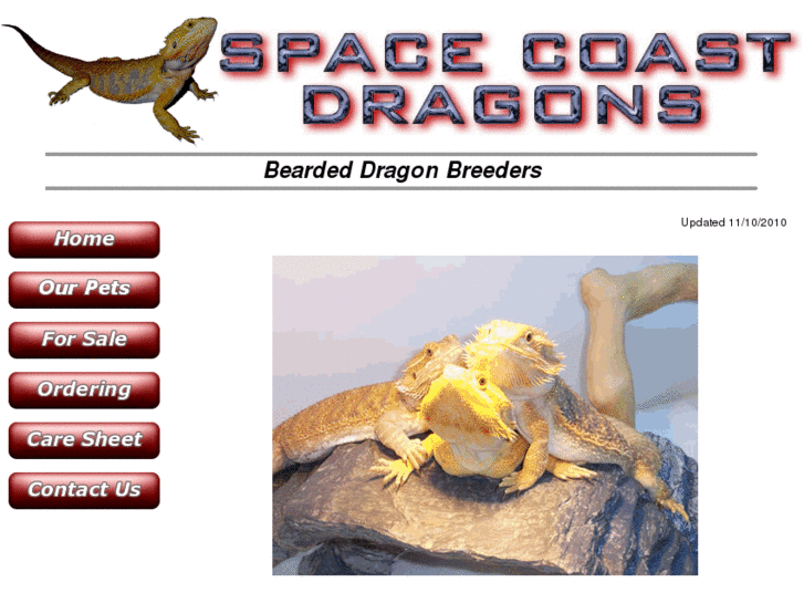 www.spacecoastdragons.com