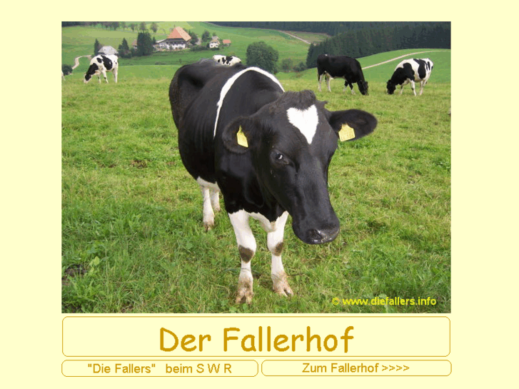 www.diefallers.info