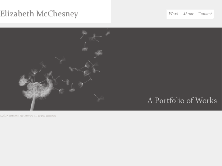 www.elizabethmcchesney.com