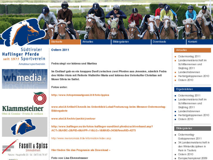 www.haflinger-pferdesportverein.com