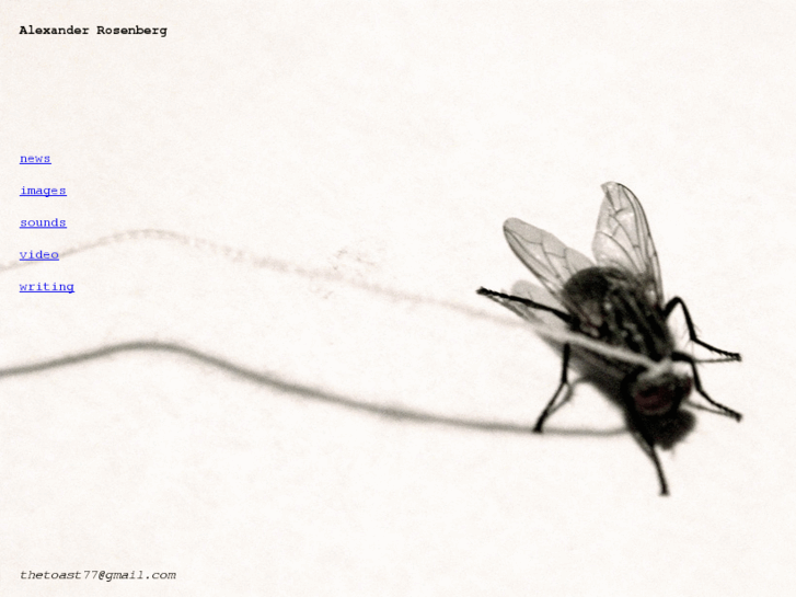 www.alexanderrosenberg.net
