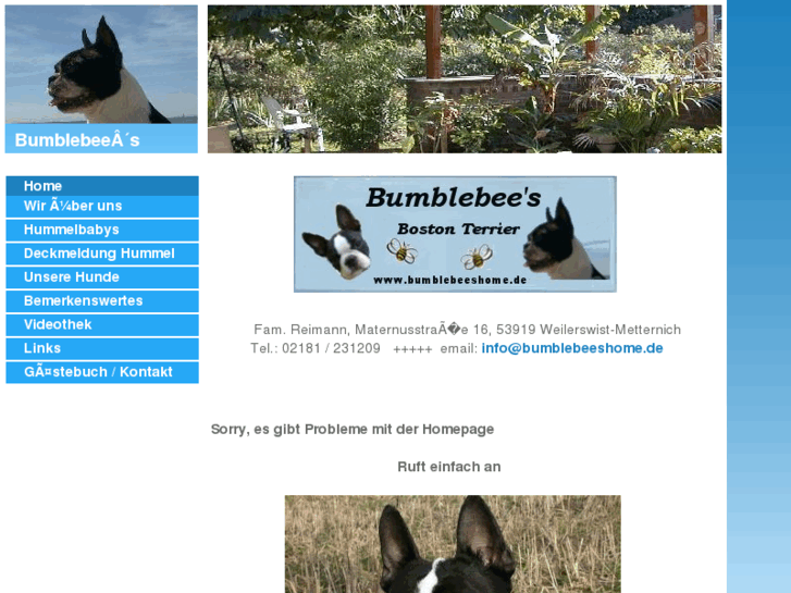 www.bumblebeeshome.de