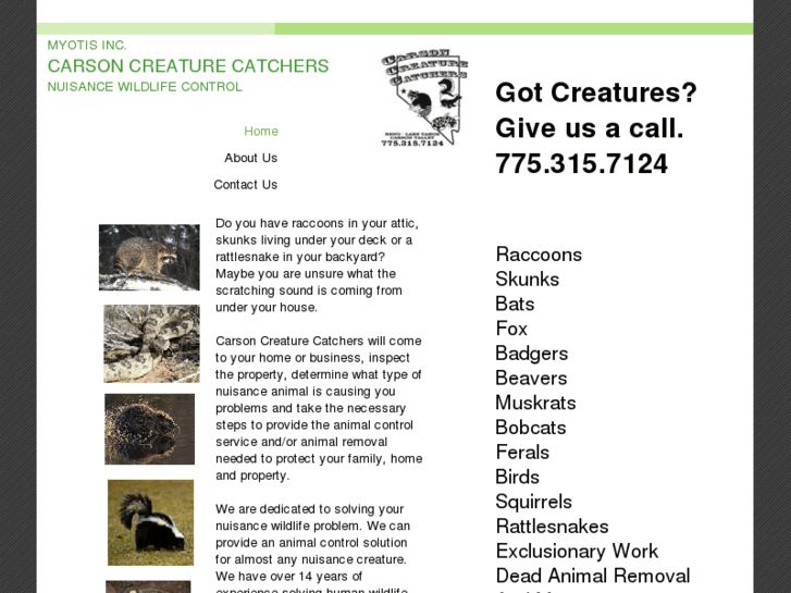 www.carsoncreaturecatchers.com