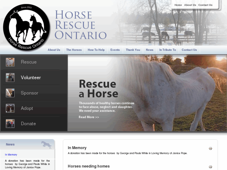 www.horserescueontario.org