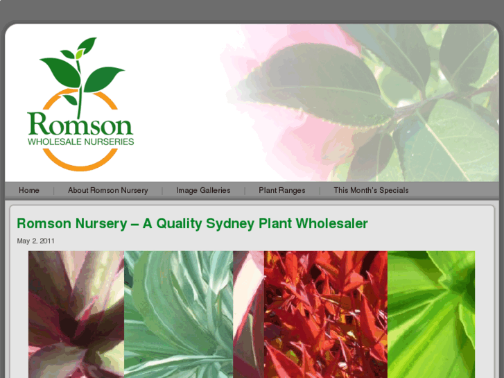 www.romsonnursery.com