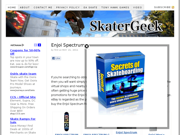 www.skatergeek.com