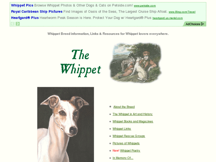 www.whippet.com