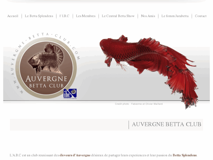 www.auvergne-betta-club.com