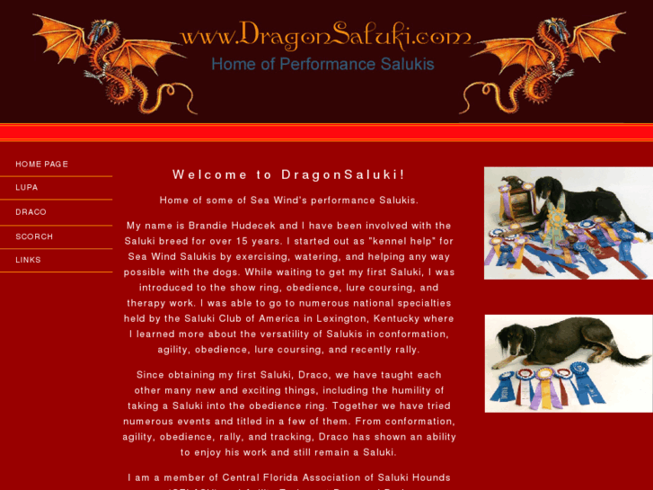 www.dragonsaluki.com