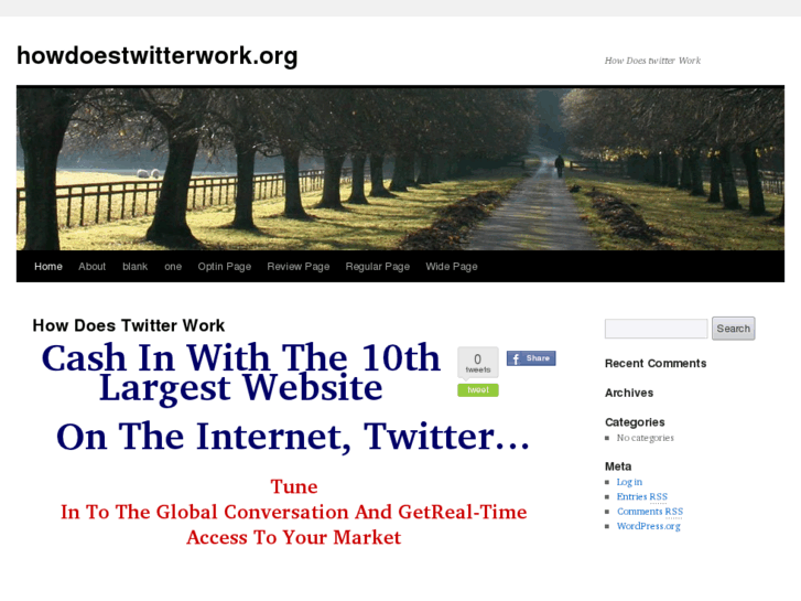 www.howdoestwitterwork.org