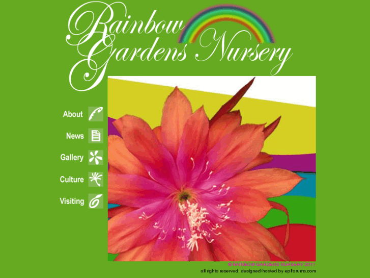 www.rainbowgardens-nursery.com