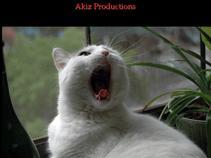 www.akizproductions.com