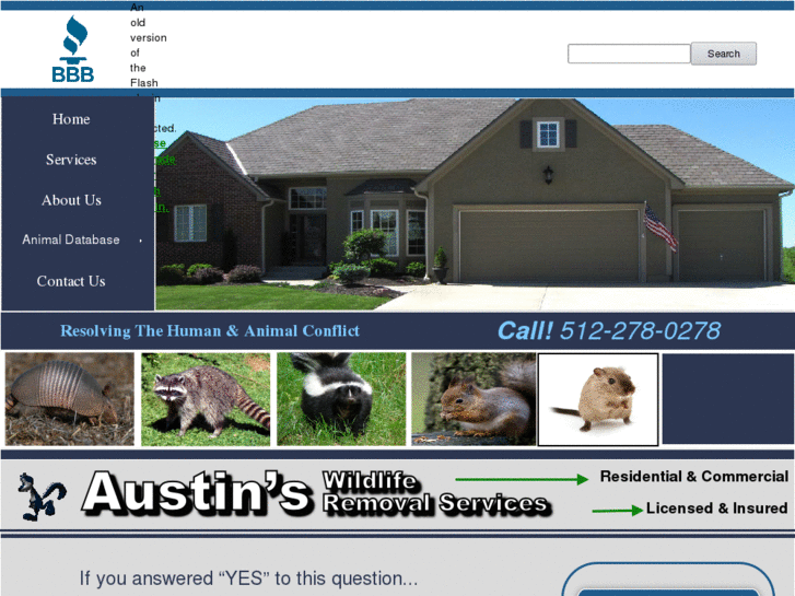 www.austinswildliferemoval.com