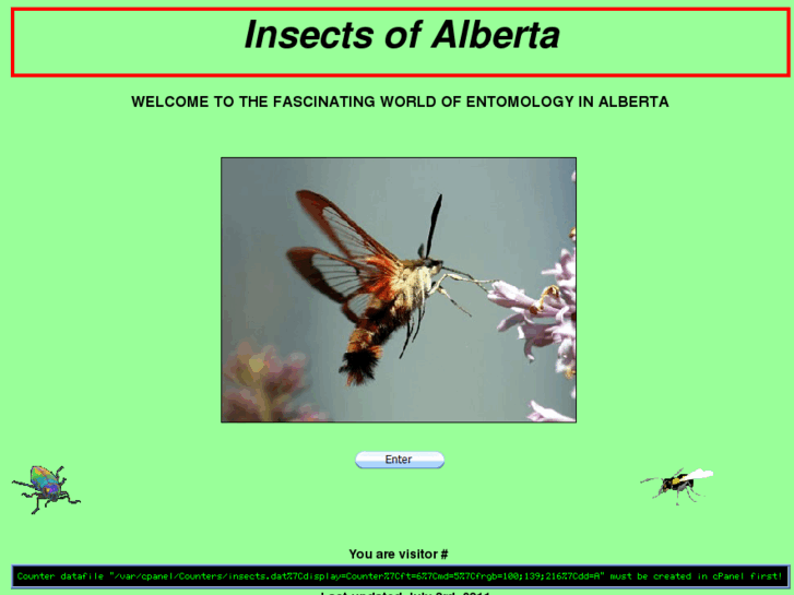 www.insectsofalberta.com