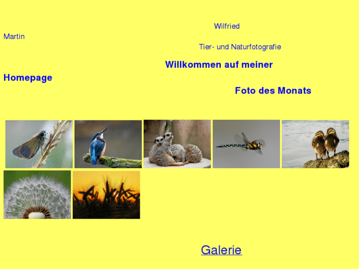 www.wilfriedmartin.com