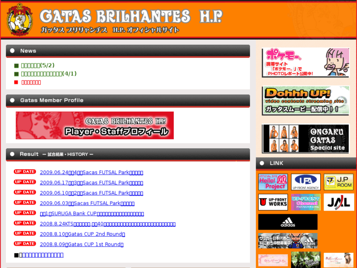 www.gatas-brilhantes-hp.net