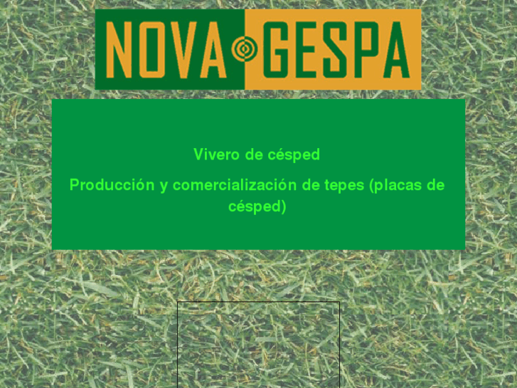 www.novagespa.com