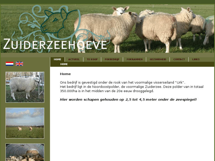 www.zuiderzeehoeve.com