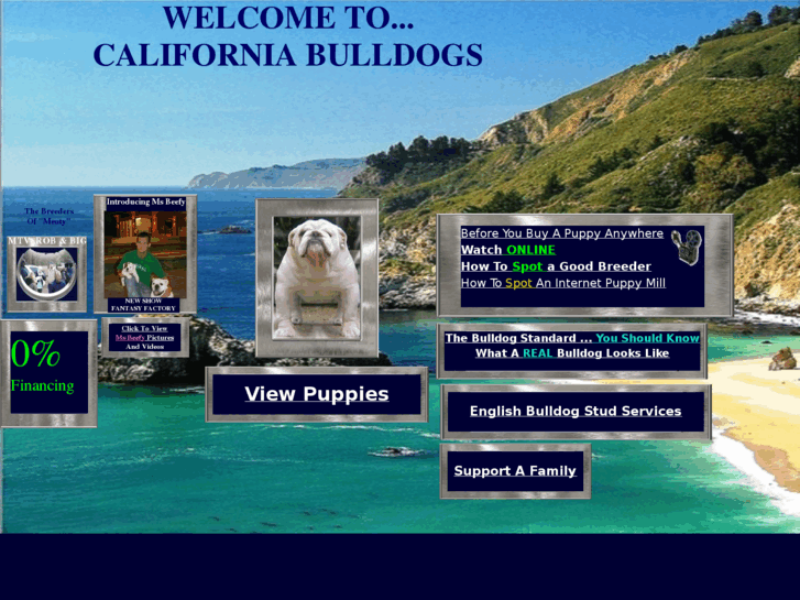 www.californiabulldogs.com